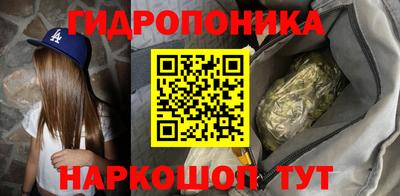 амф Заволжье