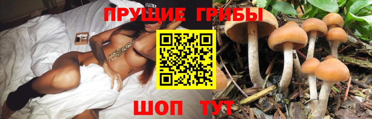 Магнитогорск  Псилоцибиновые грибы мицелий  Вход с VPN 